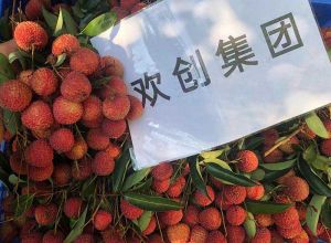 夏日好“枝”味，开云（中国）集团发福“荔”啦